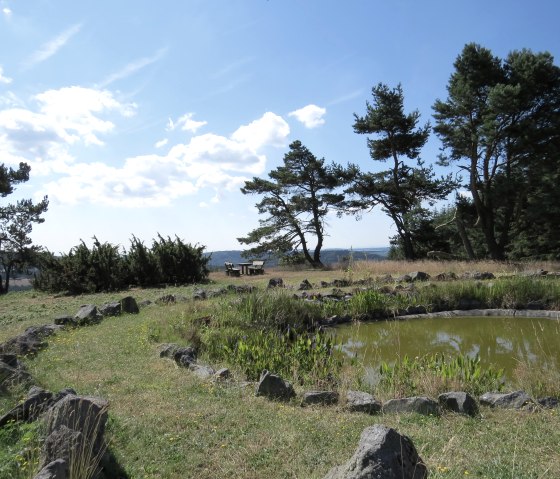 Heidetümpel auf dem Kindgen bei Arft, © Svenja Schulze-Entrup