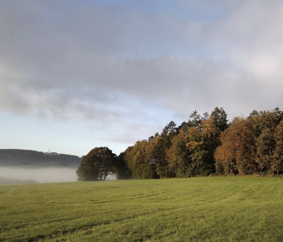 Umgebung im Herbst