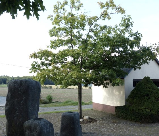 Brunnen der Ortsgemeinde Anschau, © Foto: Verbandsgemeinde Vordereifel, Quelle: Touristik-Büro Vordereifel