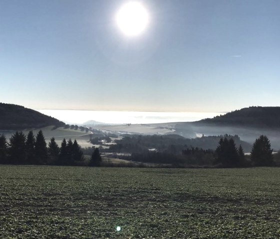 Ettringen zwisch. Hochstein-Bellerberg-Hochsimmeh