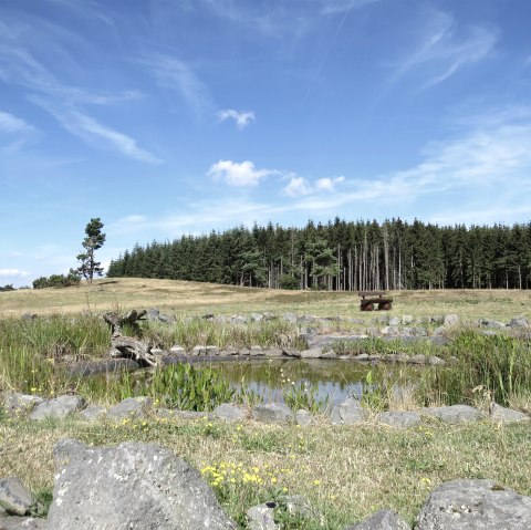 Der "Heidetümpel" auf dem Kindgen, © Foto: Svenja Schulze-Entrup, Quelle: Touristik-Büro Vordereifel