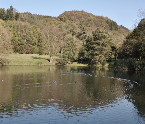 Riedener Waldsee