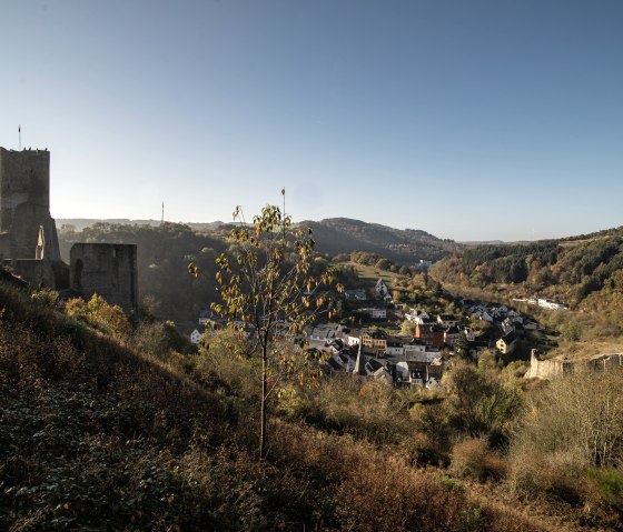 Monrealer Löwen und Philippsburg, © Laura Rinneburger