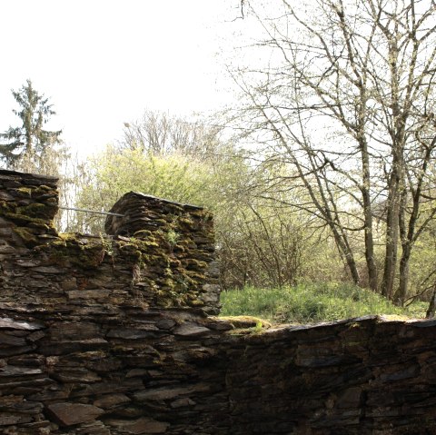 Klosterruine mit Blick in die Landschaft, © Laura Rinneburger