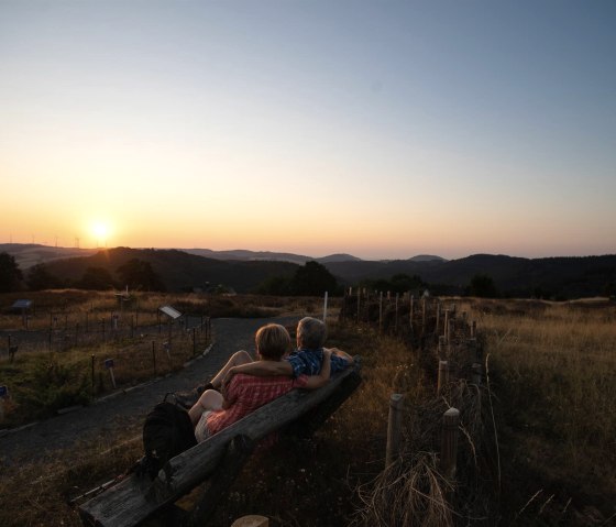 Sonnenaufgang auf dem Wabelsberg, © Foto: Laura Rinneburger, Quelle: Touristik-Büro Vordereifel