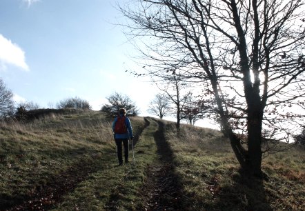 Hinauf zum Ettringer Bellerberg, © Foto: Laura Rinneburger, Quelle: Touristik-Büro Vordereifel