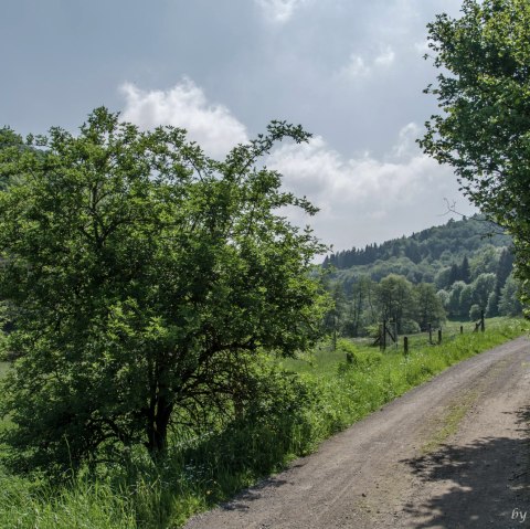 Historischer Schulweg Arft, © Volker Windheuser