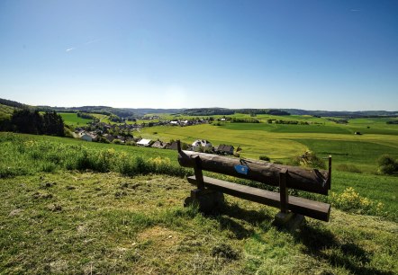 Der Blick vom Sonnenrundweg auf Herresbach, © Laura Rinneburger