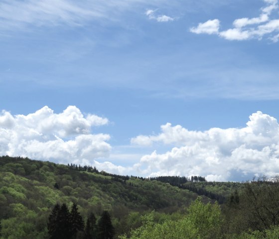 Ausblick von der Terrasse, © Foto: Svenja Schulze-Entrup, Quelle: Touristik-Büro Vordereifel