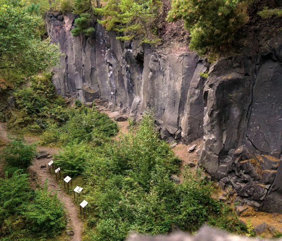 Blick ins Kottenheimer Winfeld, © Foto: Laura Rinneburger, Quelle: Touristik-Büro Vordereifel