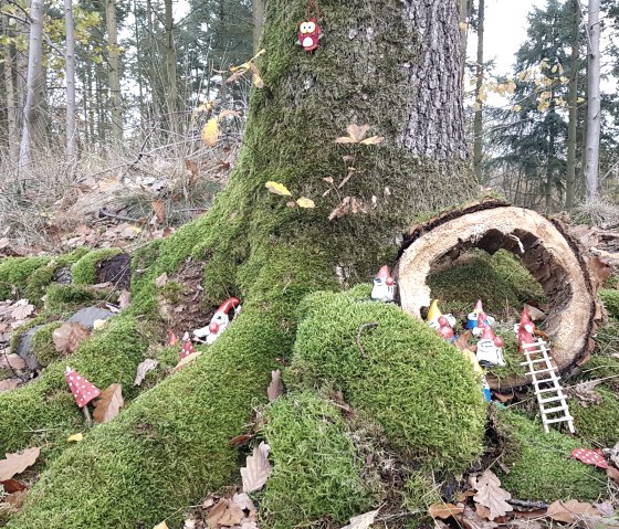 Ein kleines Wichtelheim im Moos, © Svenja Schulze-Entrup