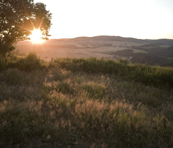 Virne-Burgweg - Heidelandschaft, © Traumpfade/Kappest