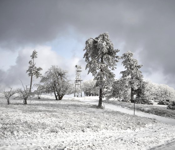 Umgebung im Winter