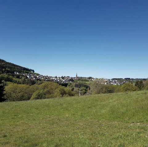 Blick auf Langenfeld, © Foto: Svenja Schulze-Entrup, Quelle: Touristik-Büro Vordereifel