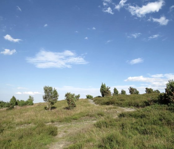 Der Wabelsberg, © Foto: Svenja Schulze-Entrup, Quelle: Touristik-Büro Vordereifel