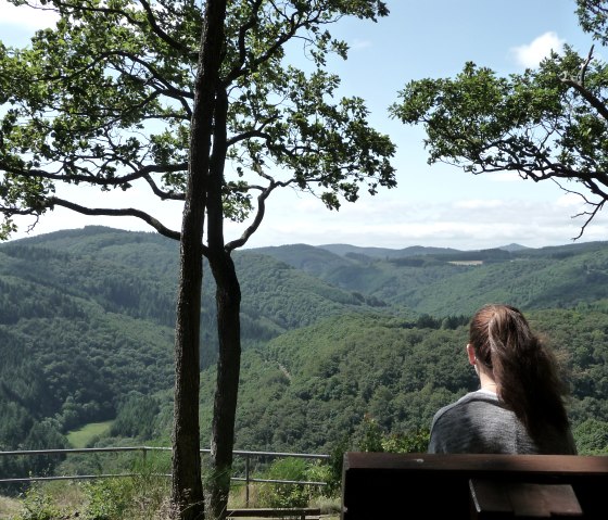 Aussicht vom Nitzblick im Sommer, © Laura Rinneburger