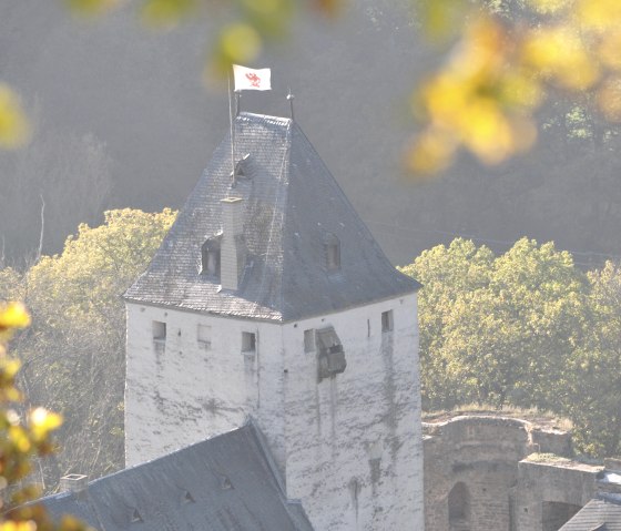 Schloss Bürresheim