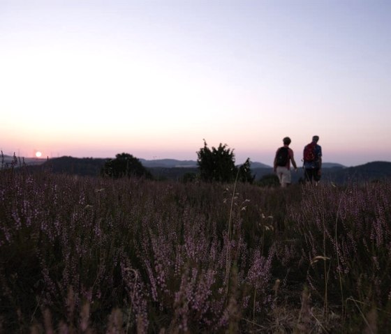 Wacholderheide Langscheid bei Sonnenaufgang, © Foto: Laura Rinneburger, Quelle: Touristik-Büro Vordereifel