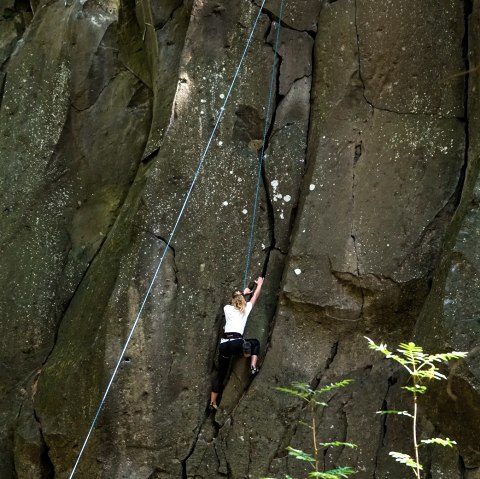 Klettern im Kottenheimer Winfeld, © Laura Rinneburger