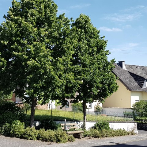 Ortsgemeinde Weiler, © Foto: Svenja Schulze-Entrup, Quelle: Touristik-Büro Vordereifel